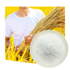 SUNWAY approvisionnement d'usine prix de gros de haute qualité de qualité alimentaire de qualité industrielle de qualité agricole de qualité médicale poudre de chitosane CAS 9012-76-4